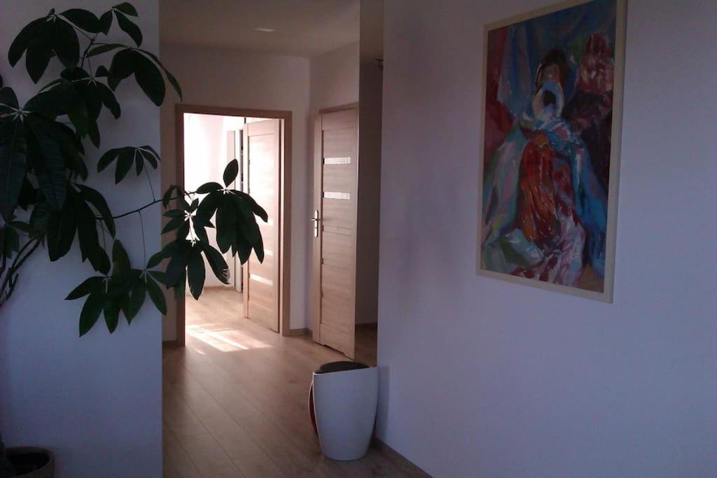 Peaceful Stay/Heart Of Gdansk/Unforgettable Luaran gambar